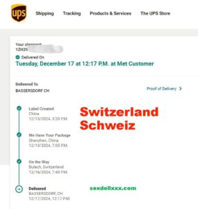 deliveryswizterland1